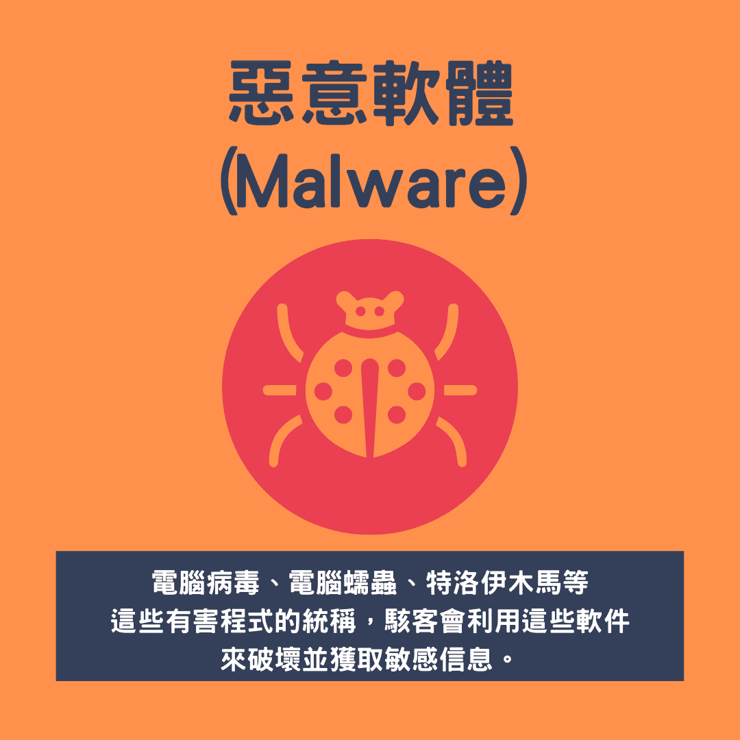 惡意軟體（Malware）：電腦病毒、電腦蠕蟲、特洛伊木馬等，這些有害程式的統稱，駭客會利用這些軟件來破壞並獲取敏感信息。