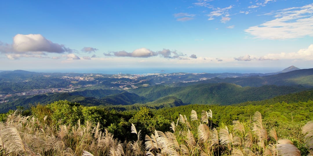 新北市休閒登山步道：姜子寮