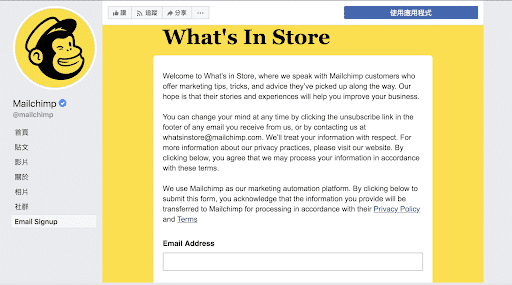 Mailchimp 訂閱表格