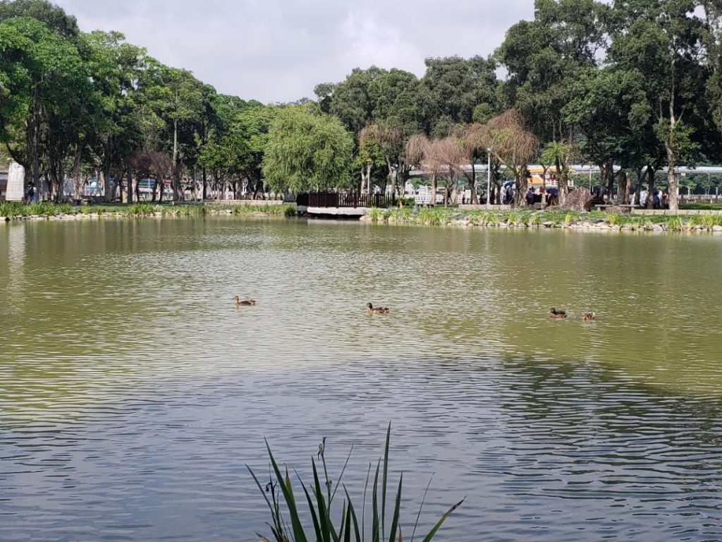 景點推薦1. 大湖公園 公園一景