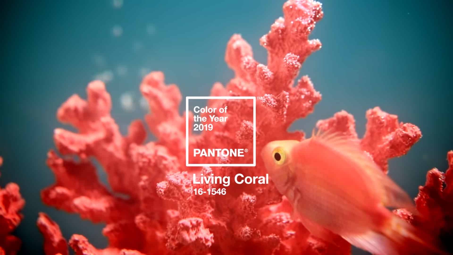 2019年：PANTONE 16–1546 Living Coral